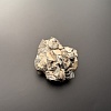 Аммонит Deshayesites volgensis 64х60 мм