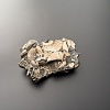 Аммонит Deshayesites volgensis 90х63 мм