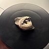 Аммонит Aconeceras trautscholdi 37х31 мм