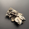 Аммонит Deshayesites volgensis 120х72 мм