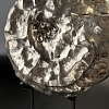 Аммонит Craspedodiskus discofalkatus 36х31 см